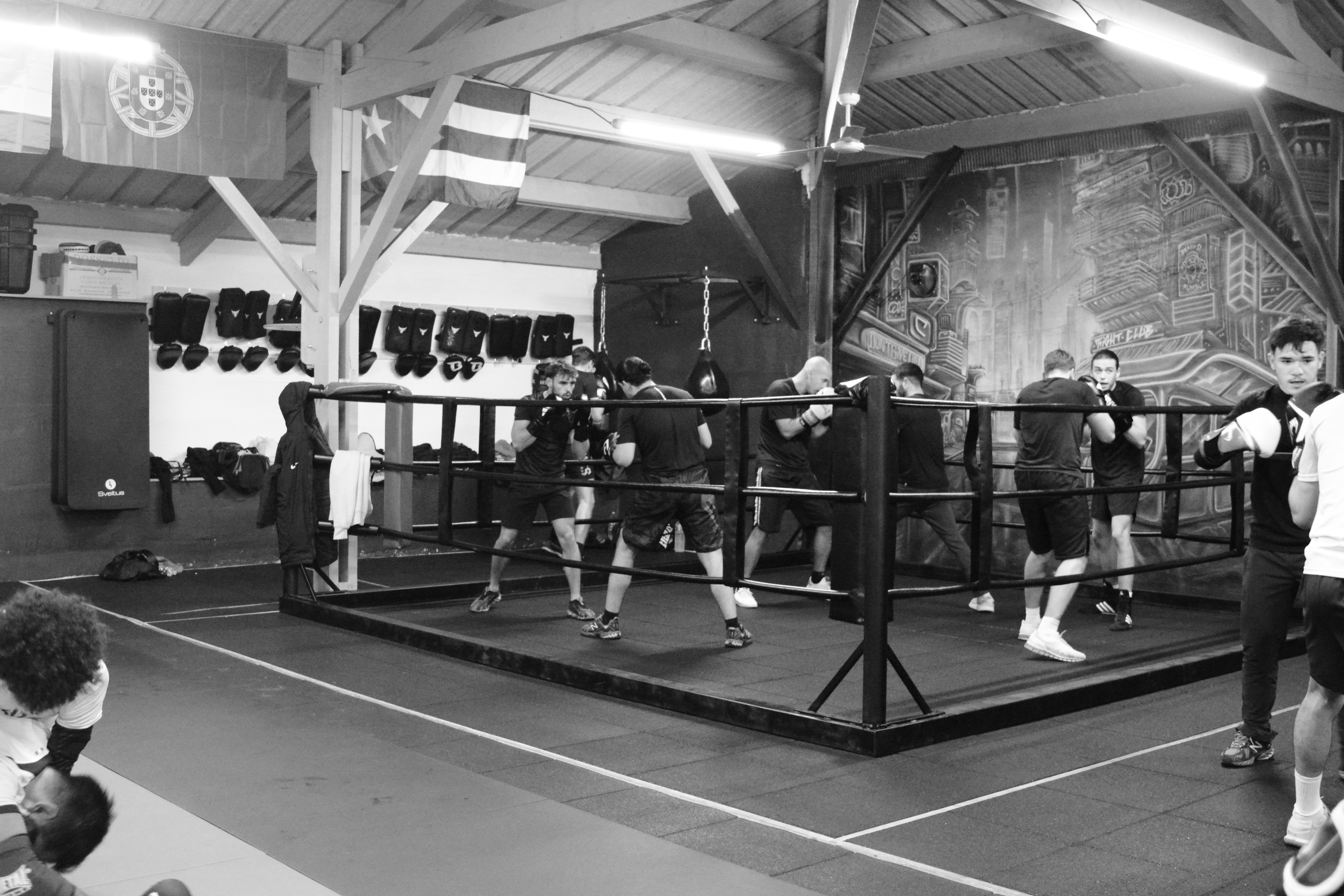 Reportage MMA